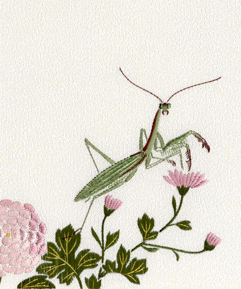 カマキリ