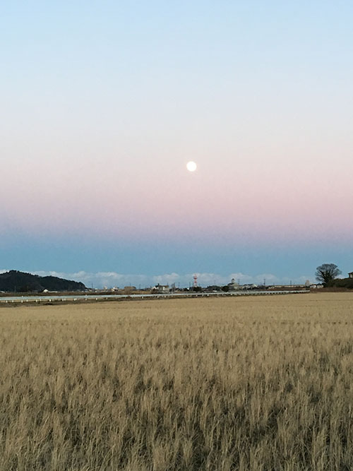 いつもの風景